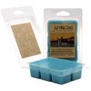 Just Makes Scents 2 Pack - Ocean Pier Scented Wax