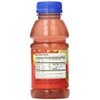 Langers Juice, Raspberry Lemonade, 10 Fl Oz (Pack of 12)