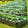 Bird Protection Net Polyethylene 4 x 10 m, 15 x