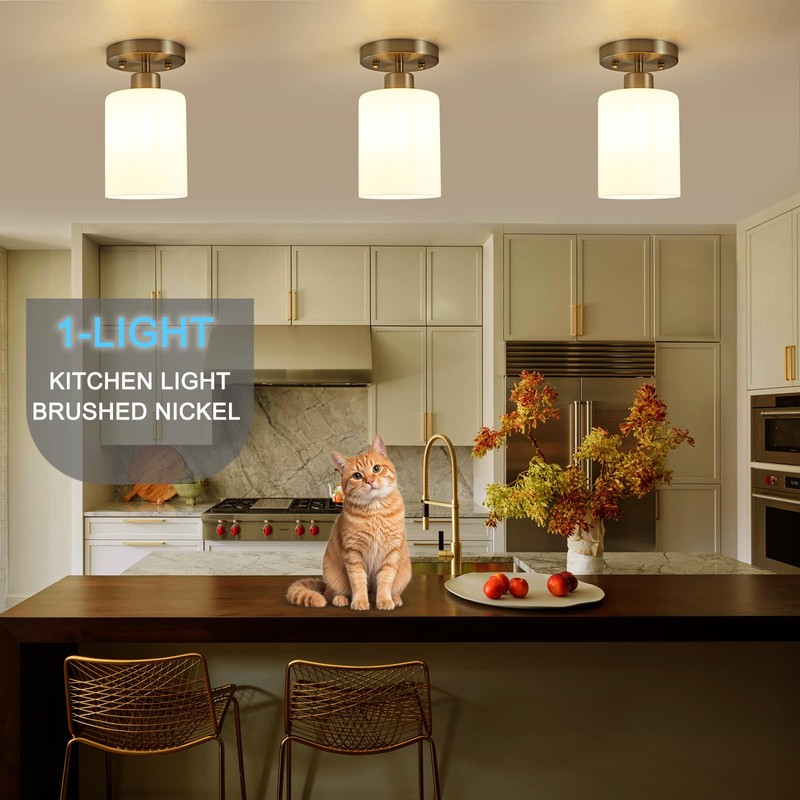 Brushed Nickel Hallway Light Fixtures Ceiling 1-Light Semi Flush Mount