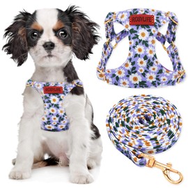No Pull Dog Harness Adjustable Small Dog Harness and Leash Set, Lightweight and Soft pet Harness No Choke Escape Proof Pet Harness Vest (Purple Daisy, XX-Small)