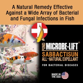 MICROBE-LIFT Sabbactisun Disease Treatment for Ponds and Outdoor Water Gardens, Disease Expellant for Pond Fish, 16 Fl Oz