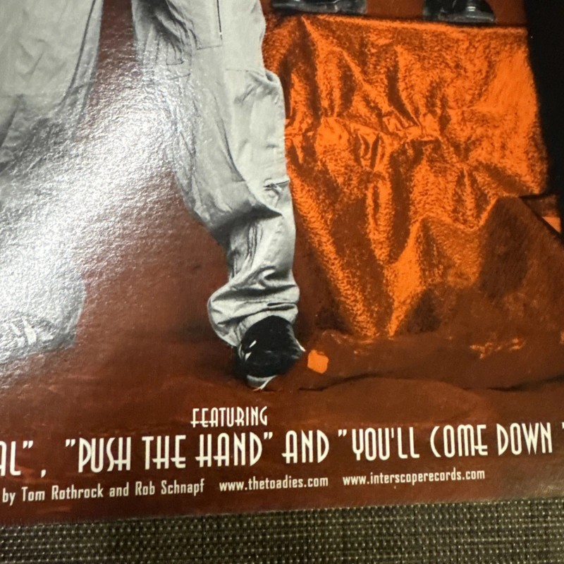 Toadies Hell Below/Stars Above 12x12 Album Cover Promo Poster DS