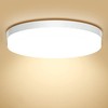 Ouyulong LED Ceiling Light