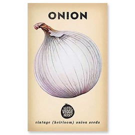 The Little Veggie Patch Co Onion 'Gladalan Wht' H'loom Seeds, 1 pack
