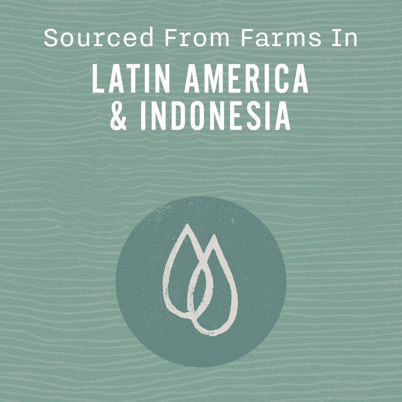 Allegro Coffee Organic Espresso Sierra Ground Coffee, 12 oz