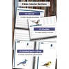 Bird Watching Journal with Life List & Checklist - Improve
