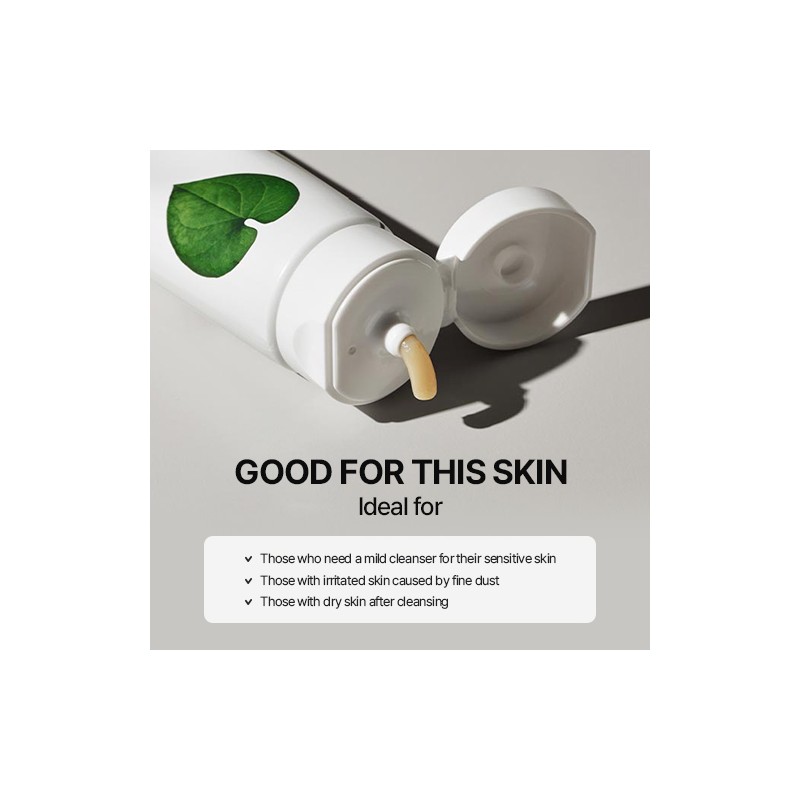 HUECALM [HUECALM]Heartleaf Calming Cleansing Foam 120ml