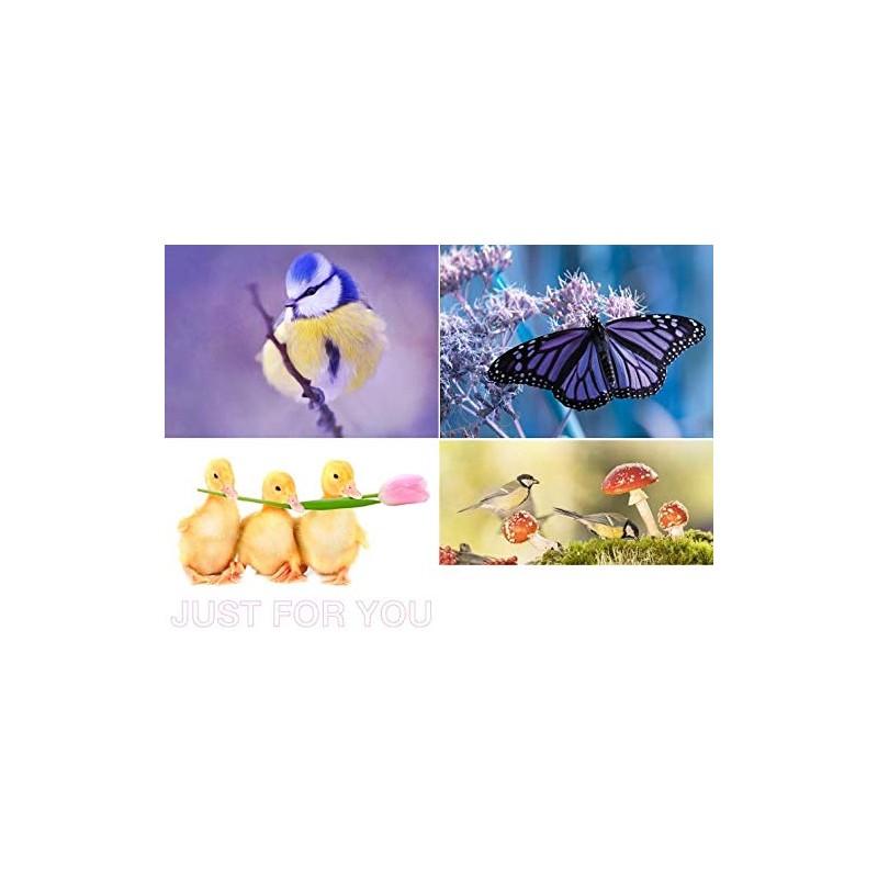 20 Animal Mix Postcards - 20 Individual and Unique Pictures