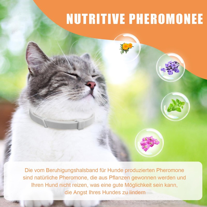 Cat Calming Collar