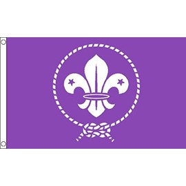 Scouts Purple Small Flag 3ft x 2ft
