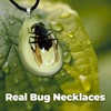 Handmade Glow Natural Bug Pendant Necklace Real Insect Resin Waterdrop