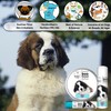 The Blissful Dog 1 oz TIN St. Bernard Booboo Butter