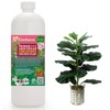 Gardenera Premium Liquid Hoya Fertilizer - 3-1-2 Concentrate for Indoor