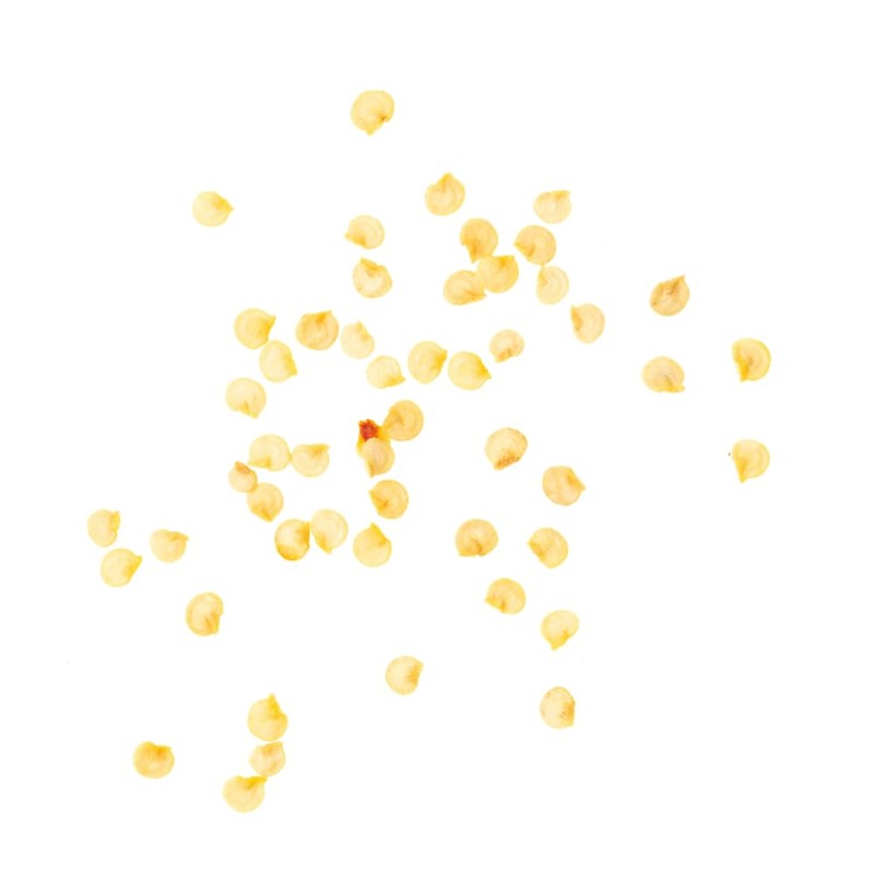 Germisem Corno di Toro Mix Semi di Paprika 1 g