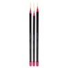 Amazing Shine Amazing Shine Professional 3 Piece Nail Art Brush