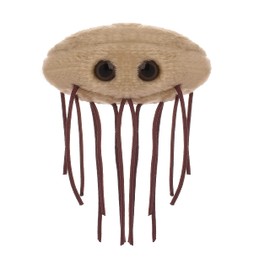 GIANTmicrobes E. Coli Plush, Microbiology Gifts, Gastroenterologist Gift, Gastroenterology Gifts, Gut Microbiome, Medical Laboratory Scientists, Petri Dish