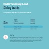 HALTI Training Lead (6'6") | Correa de instrucción para perros,