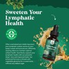 Certified Organic Lymphatic Drainage Drops - Herbal Lymphatic Cleanse and