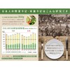 Nichiga Chlorella 100% Pure Domestic, 3.5 oz (100 g) (Approx.