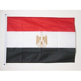 AZ FLAG Egypt Flag 2' x 3' for Outdoor - Egyptian Flags 90 x 60 cm - Banner 2x3 ft Knitted Polyester with Rings