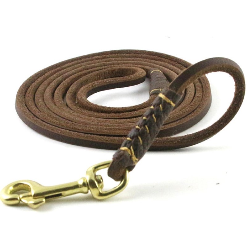 Small Dog Leash Leather, Dog Breed Weight Less Than 19.8