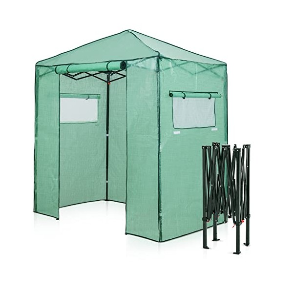 EAGLE PEAK 6'x4' Portable Walk-in Greenhouse Instant Pop-up Fast Setup