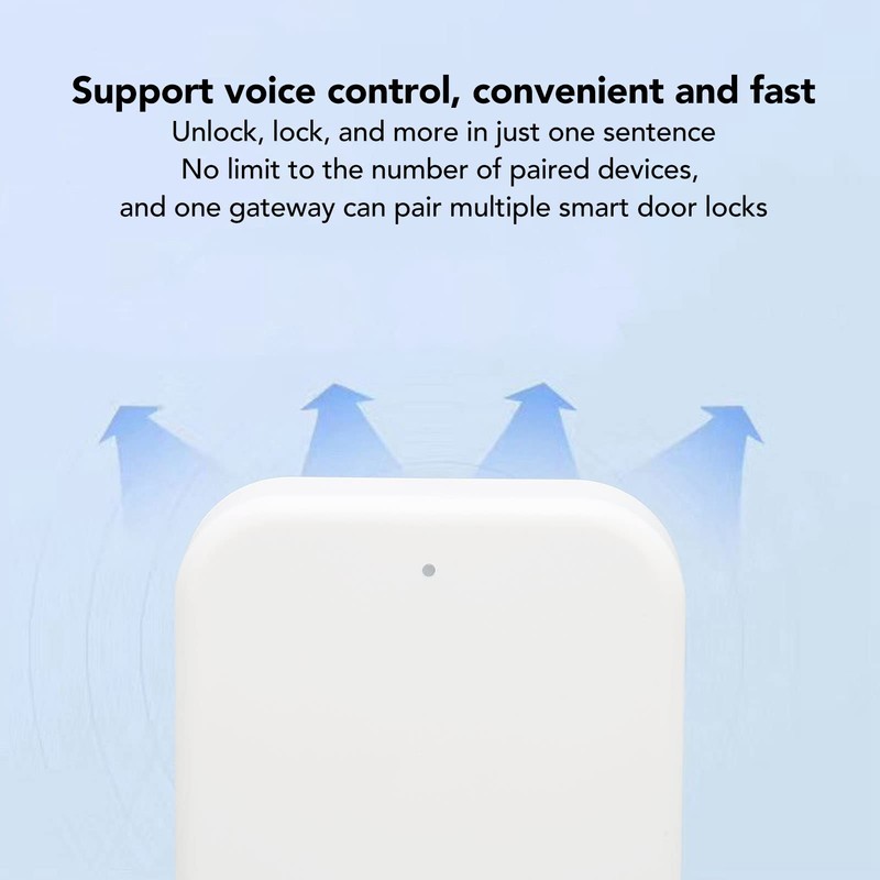 Intelligent WiFi Gateway, Intelligent Door Lock with Mobile App, Home