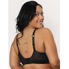 Curvy Couture Sheer Mesh Plus Size, Bralettes for Women with