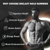 Pure Himalayan Shilajit Gummies for Men & Women - 85+