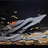 YISZM Slate Rock for Aquarium, 5-7 Inch Polished Natural Stone