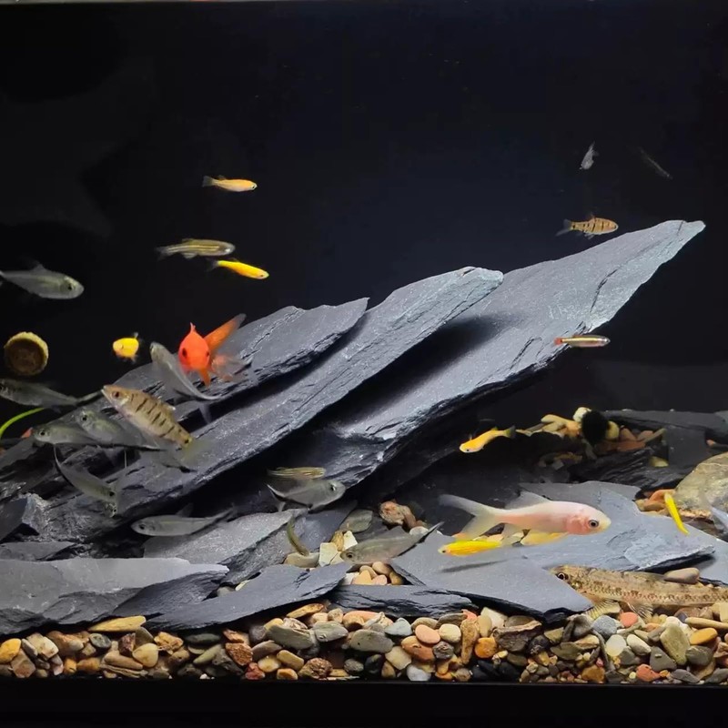 YISZM Slate Rock for Aquarium, 5-7 Inch Polished Natural Stone