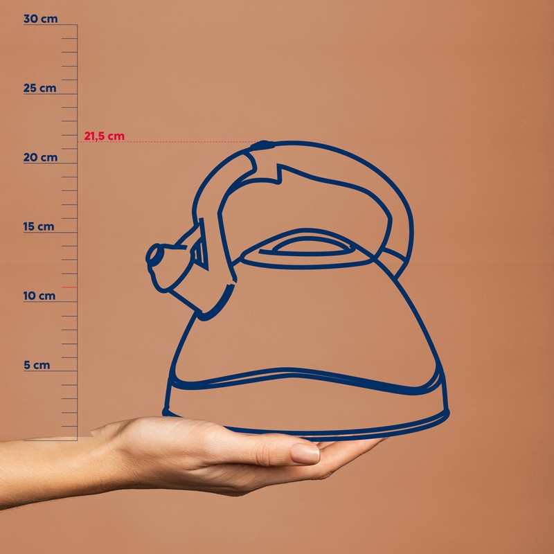 Kela Varus Kettle with Whistle, Suitable for Induction Cookers 3.0L