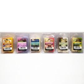 Hosley 6-Pack Assorted Wax Melts (2.5 oz Each) – Hand-Poured, Essential Oil Infused, Long-Lasting Fragrance – Bulk Buy Wax Cubes for Wax Warmers, Weddings, Spa, Meditation Settings.