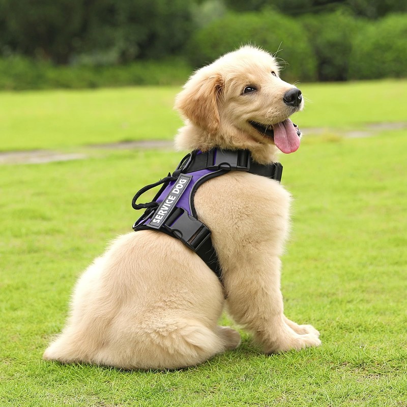 Belababy Dog Harness Small Medium Large, Reflective Tactical No Pull