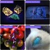 DARKBEAM UV Flashlight 365nm Light and 395nm Blacklight, Mini Powerful