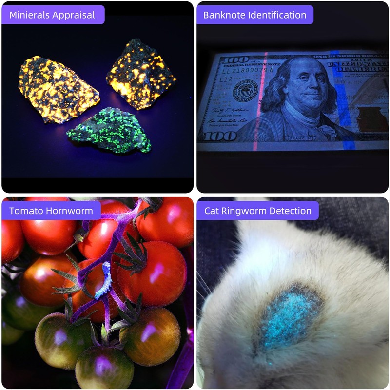 DARKBEAM UV Flashlight 365nm Light and 395nm Blacklight, Mini Powerful