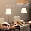 Kakanuo Cordless Table Lamp Rechargeable Silver - 1 Pack 4000mAH