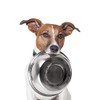 Munch & Crunch Large 19.5cm Stainless Steel Pet Bowl