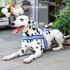 HUGO & HUDSON Easy Walk Dog Harness Adjustable No-Pull Step-in