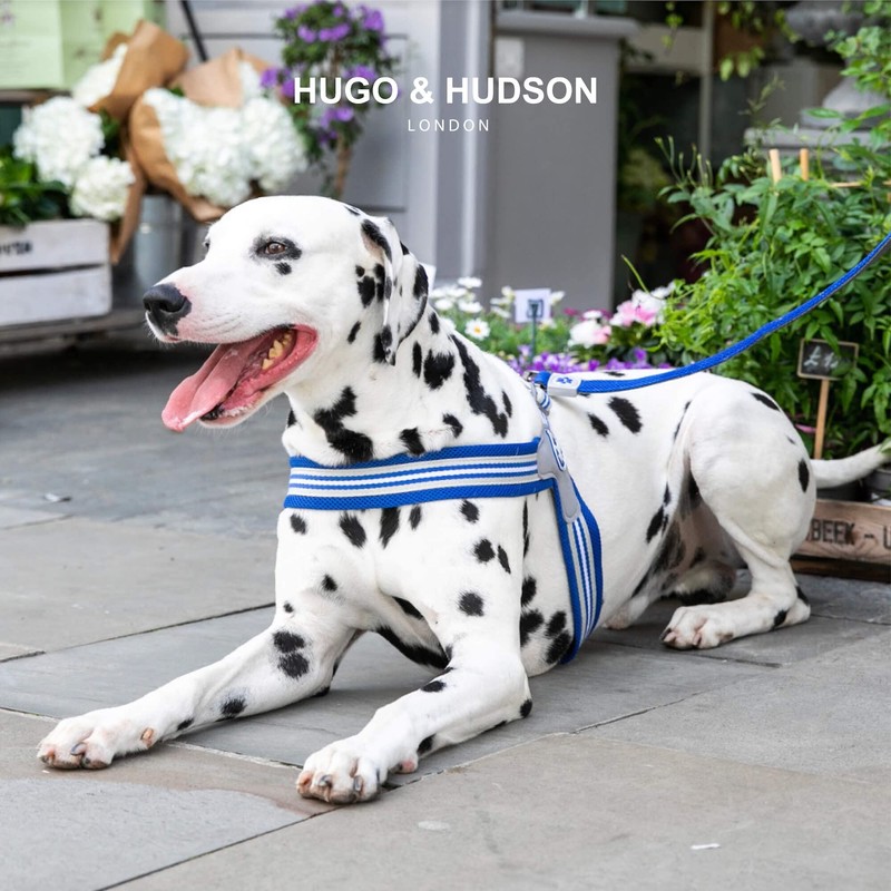 HUGO & HUDSON Easy Walk Dog Harness Adjustable No-Pull Step-in