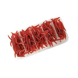 Fishing Soft Lure Earthworm Bait Lifelike Fake Earthworm Grub Worm Soft Fishing Lure Baits,Various 1.6inch, Red (150pcs/box)