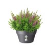 elho Loft Urban Bowl 35 - Flower Pot for Outdoor