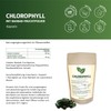 Chlorophyll 270 Kapseln - Pflanzenkraft aus Maulbeerblättern und Baobab-Fruchtpulver -