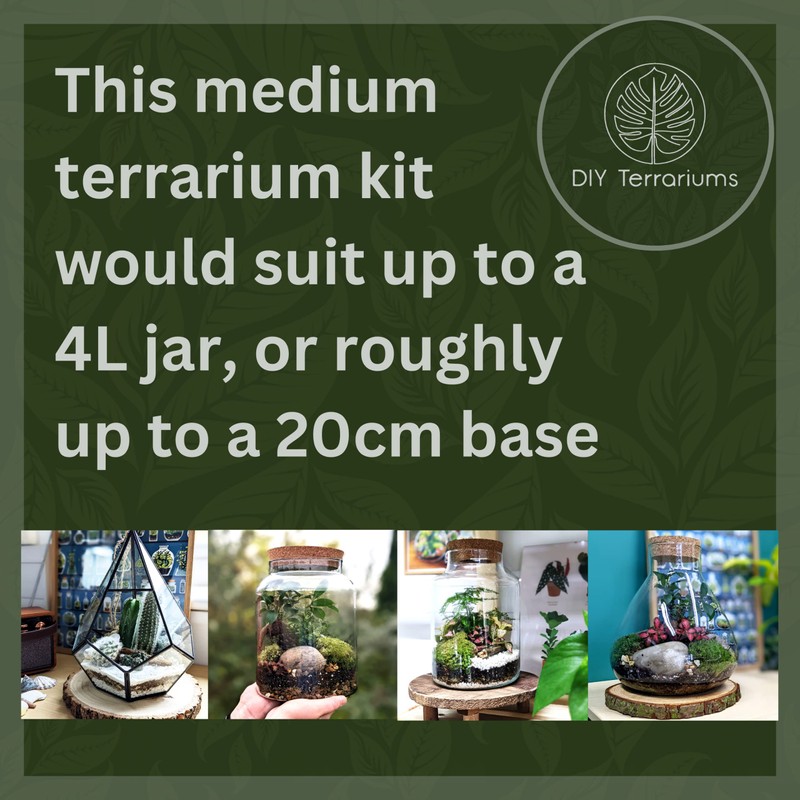 DIY Medium Open and Closed Terrarium Kit (Terracotta Pebbles)