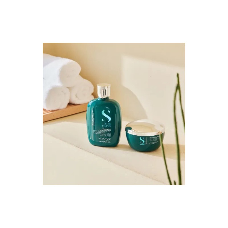 Alfaparf Milano Semi Di Lino Reconstruction Reparative Duo Bundle
