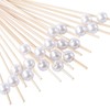 Cocktail Picks for Appetizers, Toothpicks for Appetizers, 100PCS White Cocktail