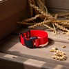 2Pcs Red Crow Rooster Collar, Crow Collar Rooster CollarNo Crow