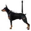 LISPOO Breathable Dog Hip Support Brace for Large Dogs, Adjustable