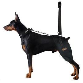 LISPOO Breathable Dog Hip Support Brace for Large Dogs, Adjustable Canine Orthopedic Brace for Hip Dysplasia, Perfect for Supporting Dobermans(M)